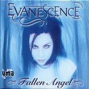 2004 - Fallen Angel.jpg