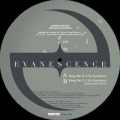 BMTL Sonice Seducer vinyl.jpg